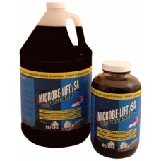 Microbe-lift Sludge Away 1 
